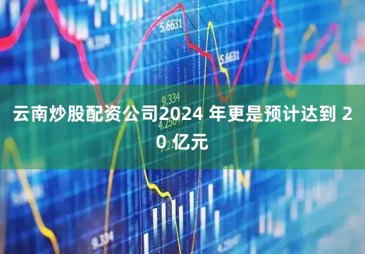 云南炒股配资公司2024 年更是预计达到 20 亿元